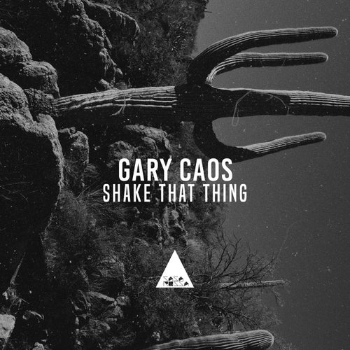 Gary Caos - Shake That Thing [CR2105]